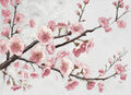 Image Not Available